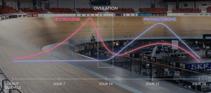 Graphique du documentaire Plus haut, plus vite, plus fort. Cycle hormonal.