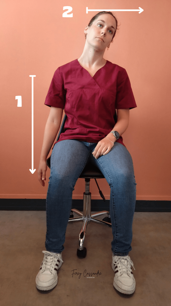 Etirement du trapèze puis des élévateurs de la scapula.